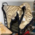 DR04. Tiger skin rug. 